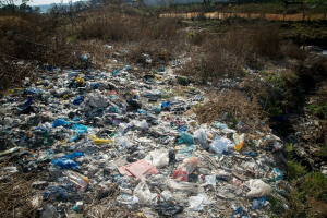 La Legge ecoreati compie 10 anni: il bilancio è positivo ma resta tanto da fare