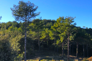 Perché la rigenerazione deve parlare il linguaggio della finanza