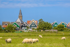 La rivoluzione verde dell’agricoltura danese