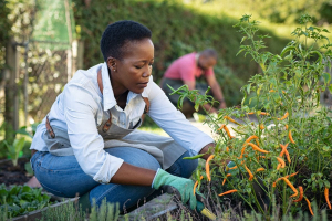 Le città raccolgono la sfida: costruire la sicurezza alimentare dal basso