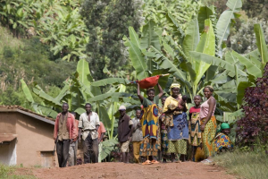 Crediti di biodiversità, da COP16 un framework per garantire un mercato giusto