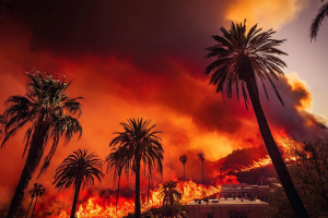 Incendi di Los Angeles, si rafforzano i venti