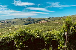 Krause Group ha pubblicato il suo rapporto sulla responsabilità sociale d’impresa 2023