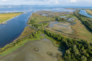Adaptation, il Friuli-Venezia Giulia che si adatta alla crisi climatica