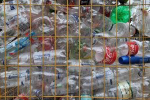 Il Massachusetts vieta l'acquisto di bottiglie di plastica monouso agli enti statali