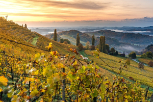Massimo Labra: “La biodiversità è il vero capitale produttivo dell’Italia”