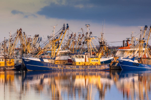 Mediterraneo e Mar Nero, overfishing in calo e acquacoltura in crescita