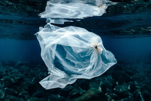 Legge Salvamare, al via il piano per eliminare la plastica dai fiumi