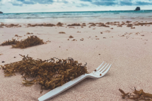 La plastica (monouso) che inquina le spiagge italiane: il rapporto di Legambiente
