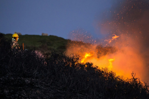 Ecomafia, Legambiente: reati ambientali in crescita del 15,6% nel 2023 in Italia