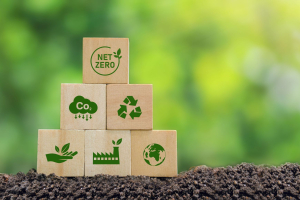 Aziende italiane in ritardo sulla decarbonizzazione: il report di Carbonsink