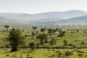 Northern Kenya Rangelands Carbon Project, carbon market per il suolo