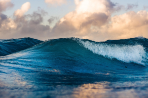 Le Nazioni Unite hanno adottato ufficialmente il Trattato dell’Alto Mare