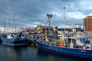 OMC, in vigore l’accordo sui sussidi alla pesca dopo vent’anni di negoziati