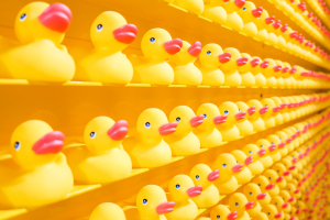 Making plastic circular is an increasingly chartered field