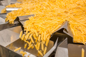 A scuola di bioeconomia: le startup di Terra Next ospiti al Pastificio Garofalo