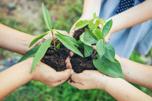 La finanza alternativa del crowdfunding può accelerare la transizione energetica