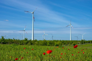 Per sbloccare l’eolico in Italia servono regole omogenee e tempi certi