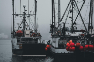 I fondi e le agevolazioni ai combustibili fossili per la pesca