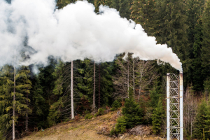 Il mercato dei crediti di carbonio è in crisi