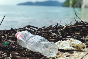 Così l’acqua frizzante fai-da-te fa risparmiare 5 miliardi di bottiglie di plastica