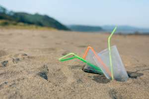 I rifiuti di plastica monouso stanno aumentando a livelli record