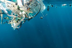 Inquinamento da plastica: previste cause legali da miliardi di dollari