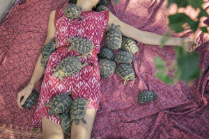 Prospettive sul mondo animale: le interviste di MR58