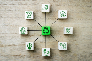 Osservatorio CleanTech, crescono le imprese che investono in economia circolare