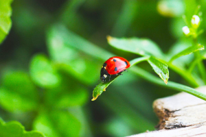 Rete clima al Salone della CSR 2025: la sostenibilità tra azione e partecipazione