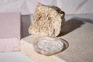 Startup: arredi e imballaggi biodegradabili dai funghi con RongoDesign