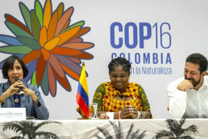 COP16, cosa aspettarsi dalla conferenza sulla biodiversità di Cali