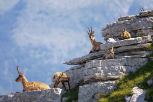 Sesto Rapporto sul capitale naturale in Italia: 58 ecosistemi a rischio