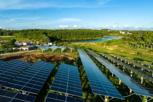 Energia e biodiversità: il fotovoltaico come alleato della natura