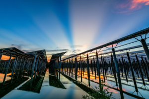 Net Zero Industry Act: il 40% delle tecnologie green sarà prodotto in Europa