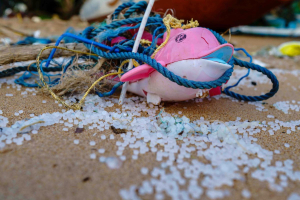 Pellet di plastica in mare: EAU e Arabia Saudita contro le norme sulla prevenzione