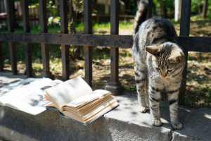 Spazio urbano, animali, tecnologia: 6 novità in libreria a marzo 2026