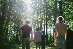 Startup, Funga: ripristinare la biodiversità e catturare CO₂ con le micorrize