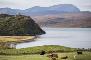 Startup, NARA Climate: Restoring Productive Ecosystems with Saltwater