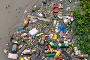 Startup, RiverRecycle: the River-cleaning Service that Gets Communities Involved