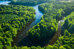SDG6, ONU: la metà del mondo ha sistemi di acqua dolce degradati