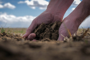 RoboNova: la biotecnologia per rigenerare il suolo