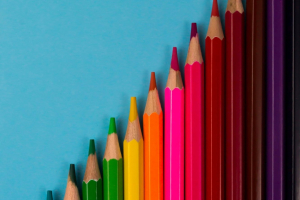 Insegnare la sostenibilità a scuola: una piattaforma gratuita per docenti