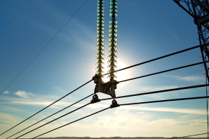 Terna pioneers Europe’s first perpetual hybrid Green Bond