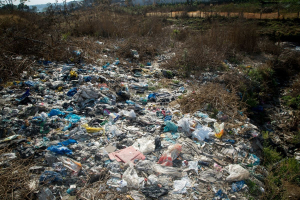 Terra dei fuochi, l’inganno del registro tumori “2025” riferito in realtà al 2021