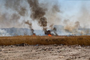 Democrazia in Terra dei fuochi, nasce il “Comitato per l'attuazione della sentenza CEDU”