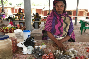 TerraLenta Film Fest 2025, il programma della prima edizione