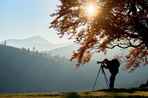 TerraLenta Film Festival apre la call per documentari e cortometraggi ambientali