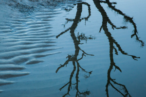 The OECD Reshapes the Global Water Agenda: What Is Its Legitimacy?