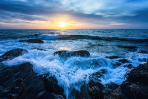 Tra accordi e blocchi: il bilancio del 2025 per l’oceano